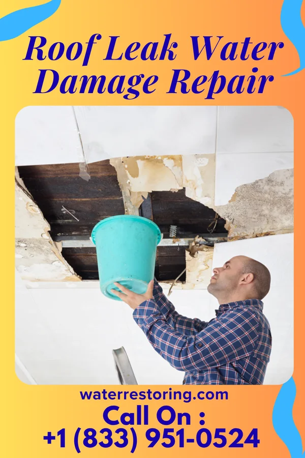 Roof Leak Water Damage Repair in Parksdale, CA